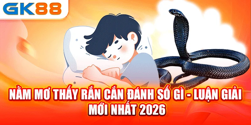 nam-mo-thay-ran-can-danh-so-gi-luan-giai-moi-nhat-2026